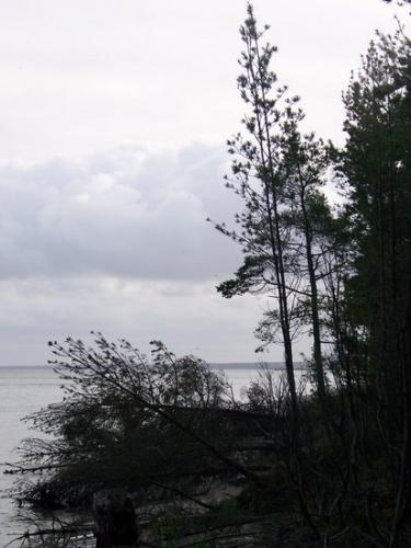 Rigaer Bucht (100_0873.JPG) wird geladen. Eindrucksvolle Fotos aus Lettland erwarten Sie.